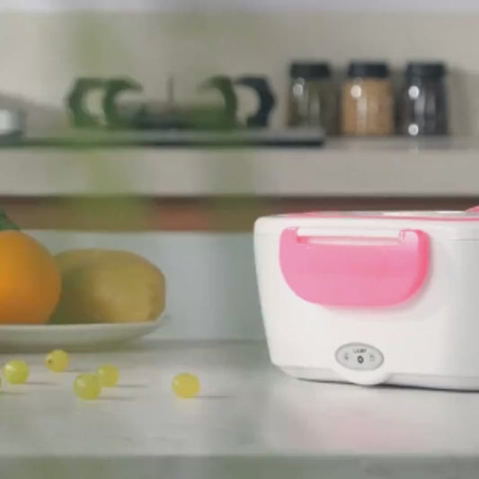 Electric Heated Lunch Box – Portable Stainless Steel Food Warmer with Dual 110V/12V Power